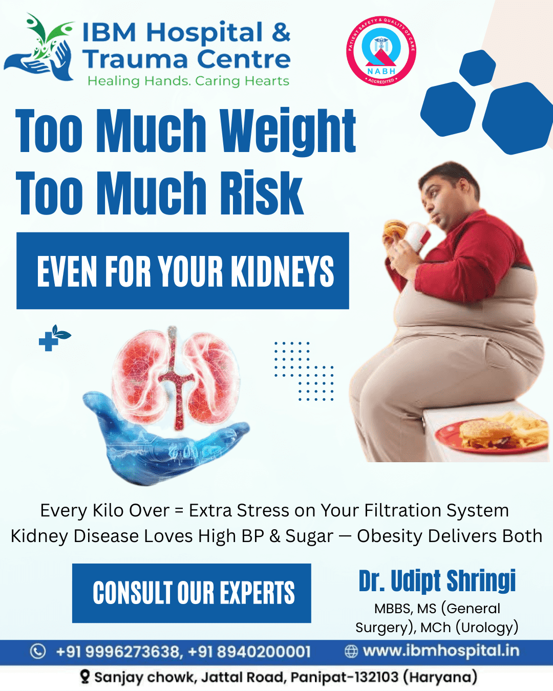 best hospital in panipat  How obesity affects kidneys